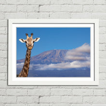 Load image into Gallery viewer, Giraffe near Mount Kilimanjaro