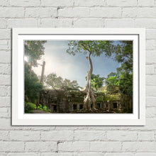Load image into Gallery viewer, Ta Prohm Banyan Tree Angkor Wat