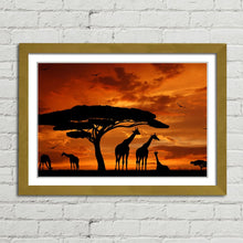 Load image into Gallery viewer, Giraffe Herd at Sunset