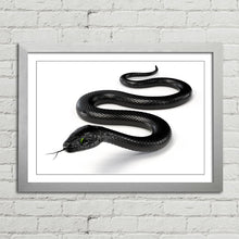 Load image into Gallery viewer, Black Snake with Forked Tongue