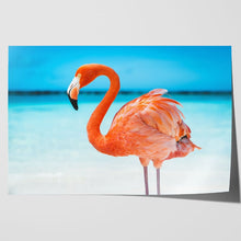 Load image into Gallery viewer, Pretty Pink Aruba Flamingo