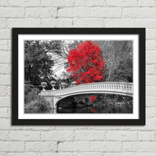 Load image into Gallery viewer, Red Tree Central Park Bridge New York