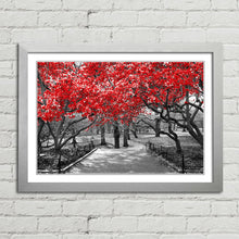Load image into Gallery viewer, Red Trees Central Park New York