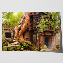 Load image into Gallery viewer, Ta Prohm Temple Cambodia