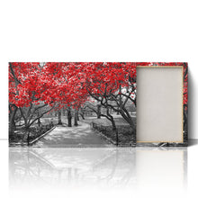 Load image into Gallery viewer, Red Trees Central Park New York
