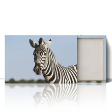 Load image into Gallery viewer, Zebra Safari in Africa