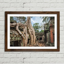 Load image into Gallery viewer, Ta Prohm Temple Tree Angkor