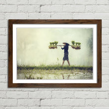 Load image into Gallery viewer, Farmer Rice in Rainy Season Vietnam