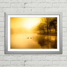 Load image into Gallery viewer, Golden Morning Fog Duck Pond