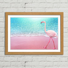 Load image into Gallery viewer, Pink Flamingo on Beach Aruba