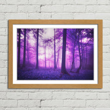 Load image into Gallery viewer, Mystic Fantasy Enchanted Forest