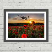 Load image into Gallery viewer, Poppy Field Spitfire Remembrance