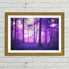 Load image into Gallery viewer, Mystic Fantasy Enchanted Forest