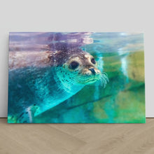Load image into Gallery viewer, Spotted Seal Close Up
