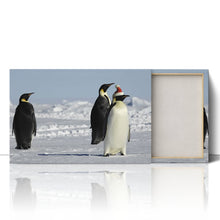 Load image into Gallery viewer, Penguins at Christmas Arctic Santa Hat