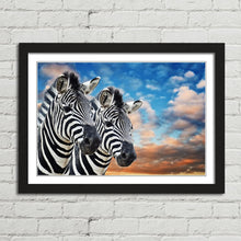 Load image into Gallery viewer, Wild Zebras in Africa