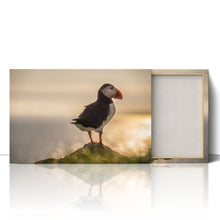 Load image into Gallery viewer, Atlantic Puffin in Mykines