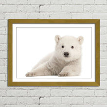 Load image into Gallery viewer, Polar Bear Cub Baby