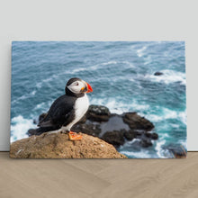 Load image into Gallery viewer, Atlantic Puffin on Cliff