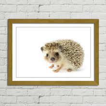 Load image into Gallery viewer, Hedgehog Close Up Selfie