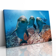 Load image into Gallery viewer, Cute Dolphins Underwater