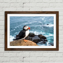 Load image into Gallery viewer, Atlantic Puffin on Cliff