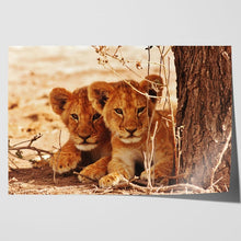 Load image into Gallery viewer, Cute Lion Cubs