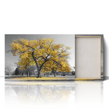 Load image into Gallery viewer, Large Tree with Yellow Leaves Central Park