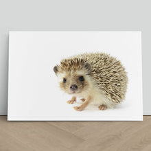 Load image into Gallery viewer, Hedgehog Close Up Selfie