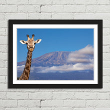 Load image into Gallery viewer, Giraffe near Mount Kilimanjaro