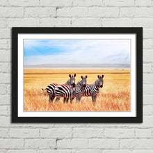 Load image into Gallery viewer, Zebras in Tanzania Savannah
