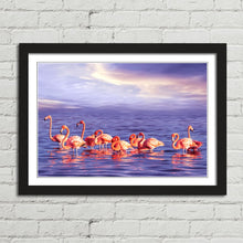 Load image into Gallery viewer, Beautiful Pink Flamingo Flock
