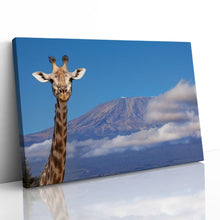 Load image into Gallery viewer, Giraffe near Mount Kilimanjaro