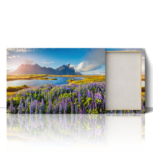 Load image into Gallery viewer, Flowers in Bloom at Stokksnes Iceland