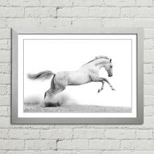 Load image into Gallery viewer, Stallion Horse Equestrian
