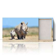 Load image into Gallery viewer, White Rhinoceros Baby