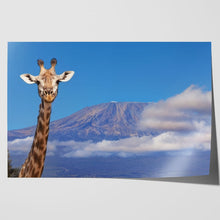 Load image into Gallery viewer, Giraffe near Mount Kilimanjaro
