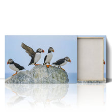 Load image into Gallery viewer, Atlantic Puffins on Rock
