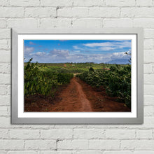 Load image into Gallery viewer, Coffee Plantation Pleiku Vietnam