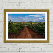 Load image into Gallery viewer, Coffee Plantation Pleiku Vietnam