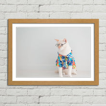 Load image into Gallery viewer, Cat in Shirt Glasses Holiday Funny Cute