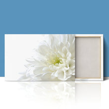 Load image into Gallery viewer, White Flower