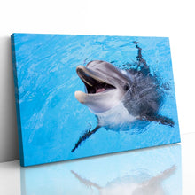 Load image into Gallery viewer, Dolphin Smiling Cute