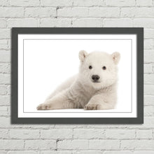 Load image into Gallery viewer, Polar Bear Cub Baby