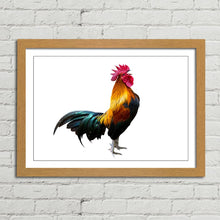 Load image into Gallery viewer, Rooster Cock Cockerel