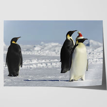 Load image into Gallery viewer, Penguins at Christmas Arctic Santa Hat