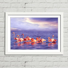Load image into Gallery viewer, Beautiful Pink Flamingo Flock