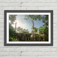 Load image into Gallery viewer, Ta Prohm Banyan Tree Angkor Wat