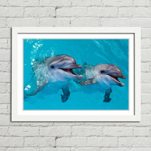 Load image into Gallery viewer, Smiling Dolphins Close Up