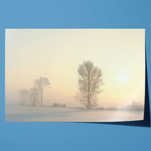Load image into Gallery viewer, December Morning Frost Winter